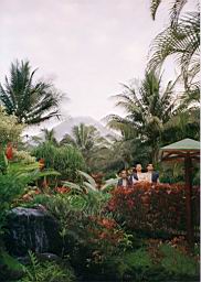 74 balneario Tabacon y volcan Arenal.jpg